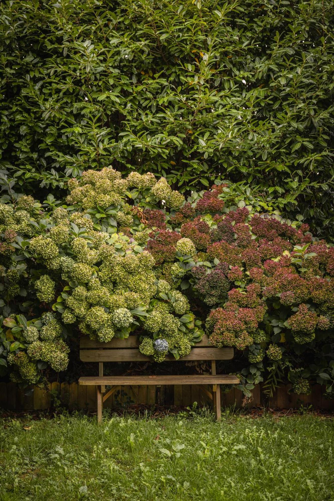Le Jardin Enchanteur, Chaleureuse Maison D'Hotes Eco-Responsable, Calme Et Accueillante Lopérec Exteriör bild